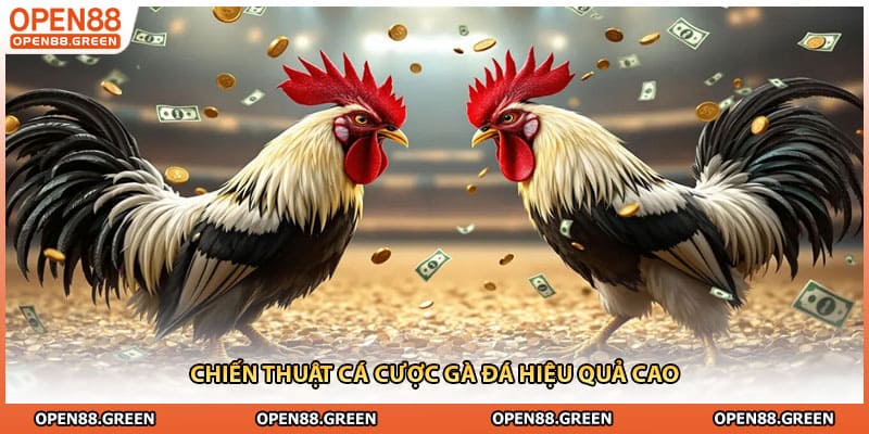 Chiến thuật cá cược gà đá hiệu quả cao